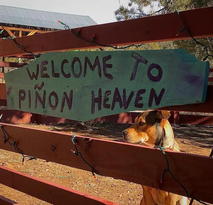 Bed and Breakfast Pet Friendly Pinon Heaven Canada de los Alamos Экстерьер фото