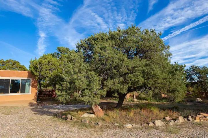 Bed and Breakfast Pet Friendly Pinon Heaven Canada de los Alamos Экстерьер фото