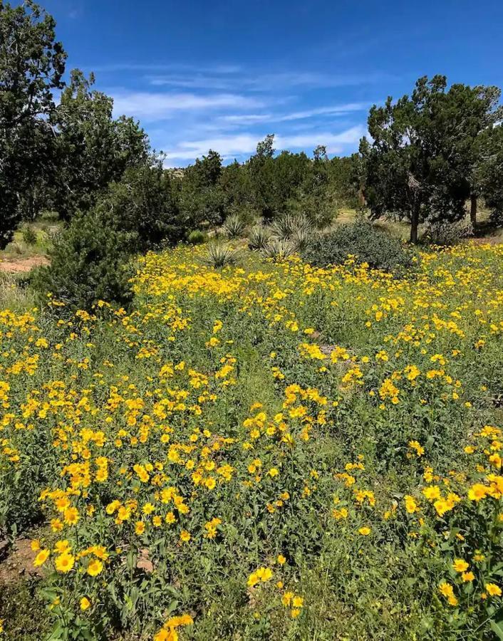 Bed and Breakfast Pet Friendly Pinon Heaven Canada de los Alamos Экстерьер фото